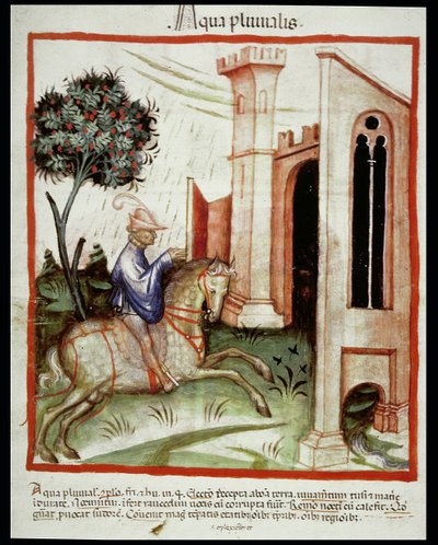 Rainwater, from Tacuinum Sanitatis by Italian School